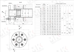 Сальник нажимной ТМ 93-17 Ду1400 серия 5.900-3 L=200