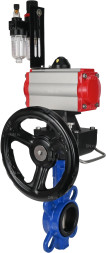 Затвор дисковый поворотный WBV1132N-2W-Fb-H Ду250 Ру16, корпус - чугун GG25, диск - нержавеющая сталь 316L, уплотнение - NBR, с пневмоприводом PA-DA-140, пневмораспределителем 4M310-08 AC220V, ручным дублером MON4-1200-T54-ISO, БПВ AFC2000