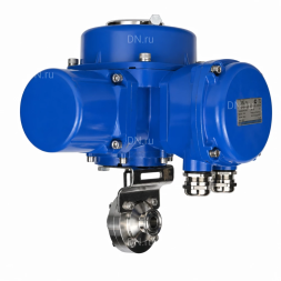 Затвор дисковый поворотный WBV3131E-2W-C-H Ду25 Ру10 кламповый, корпус - пищевая нержавеющая сталь 304, уплотнение - EPDM, с электроприводом QT-N-005M-O2-220VAC-У1 с моментной муфтой и штурвалом
